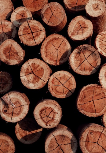 Zalety i potencjał budownictwa drewnianego oraz krążące o nim mity